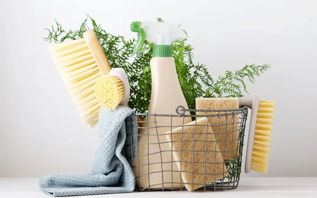 Produits de nettoyage ecologique